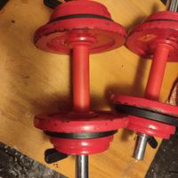 2 manubri pesi componibili fino a 9 kg