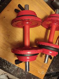 2 manubri pesi componibili fino a 9 kg