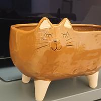 2 vasi simpatici :gattino e gallinella