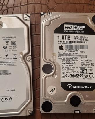 2 Hard disk SATA da 1 TB