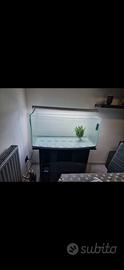 Acquario + mobiletto + pompa