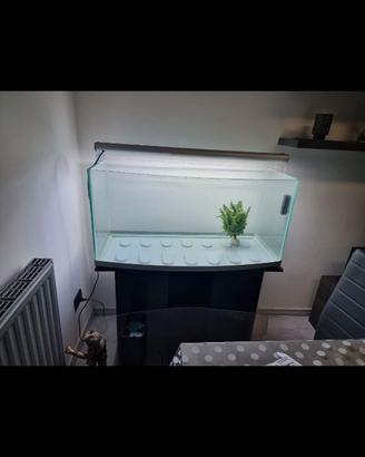 Acquario + mobiletto + pompa