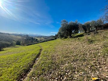 Natura, bellezza e riservatezza a Corridonia