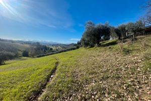 Natura, bellezza e riservatezza a Corridonia