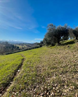 Natura, bellezza e riservatezza a Corridonia