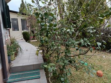 Appartamento a Siderno