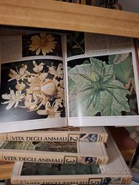 Enciclopedia VITA DEGLI ANIMALI