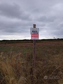 Terreno platamona confinante stagno