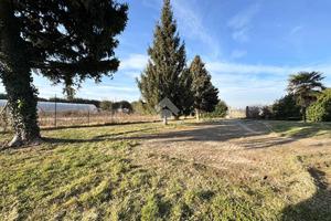 TER. AGRICOLO A MACELLO