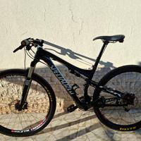 mountain bike in carbonio