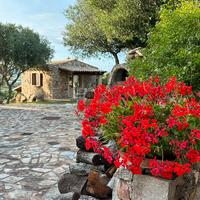 Villa singola zona Bassacutena