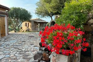 Villa singola zona Bassacutena