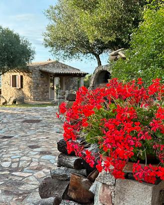 Villa singola zona Bassacutena