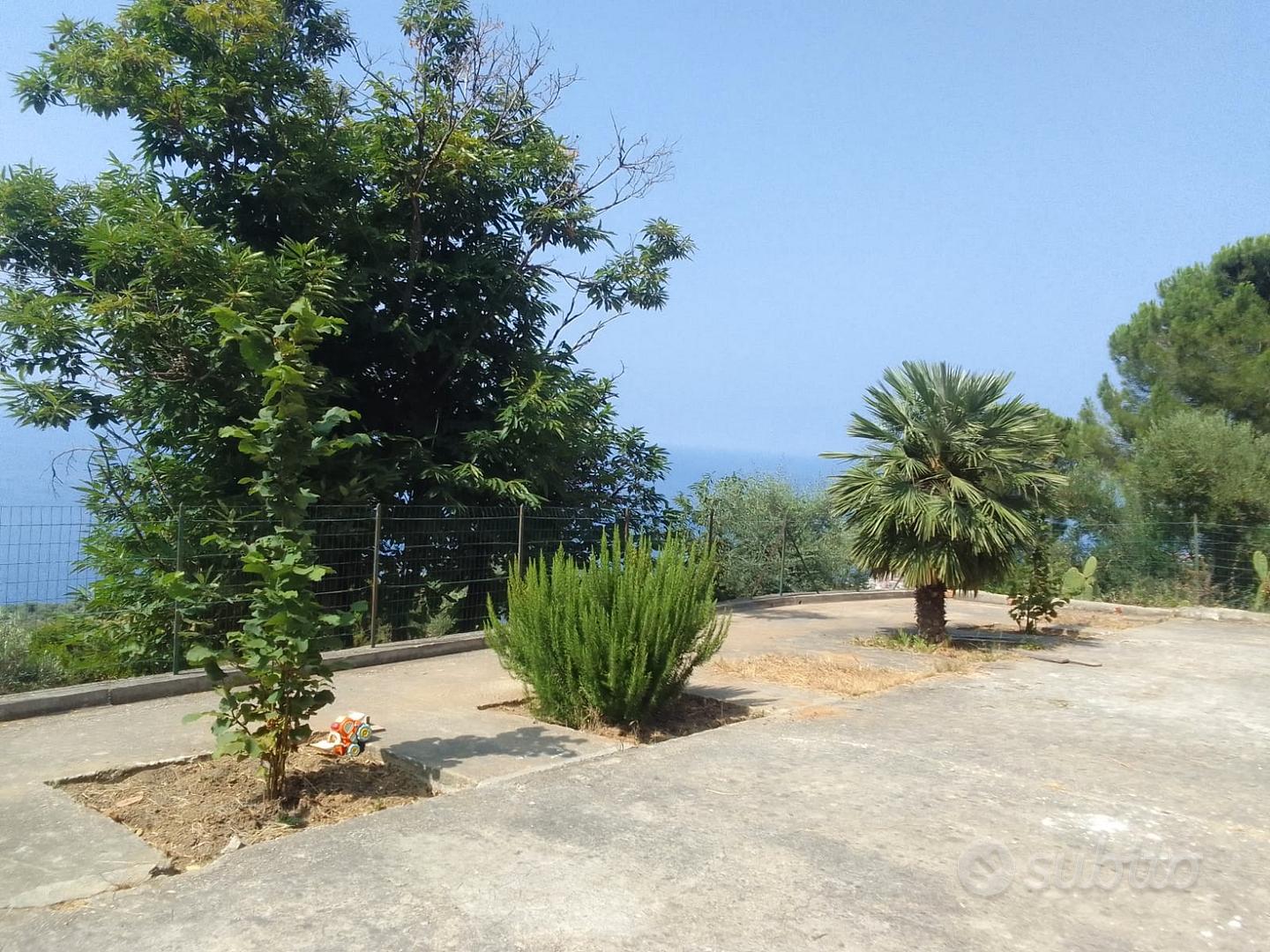 Terreno agricolo di 6500 mq con magazzino vista m - Altro