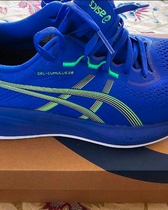 Asics cumulus 28
