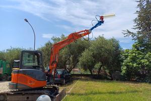 Pettine Raccolta Olive
