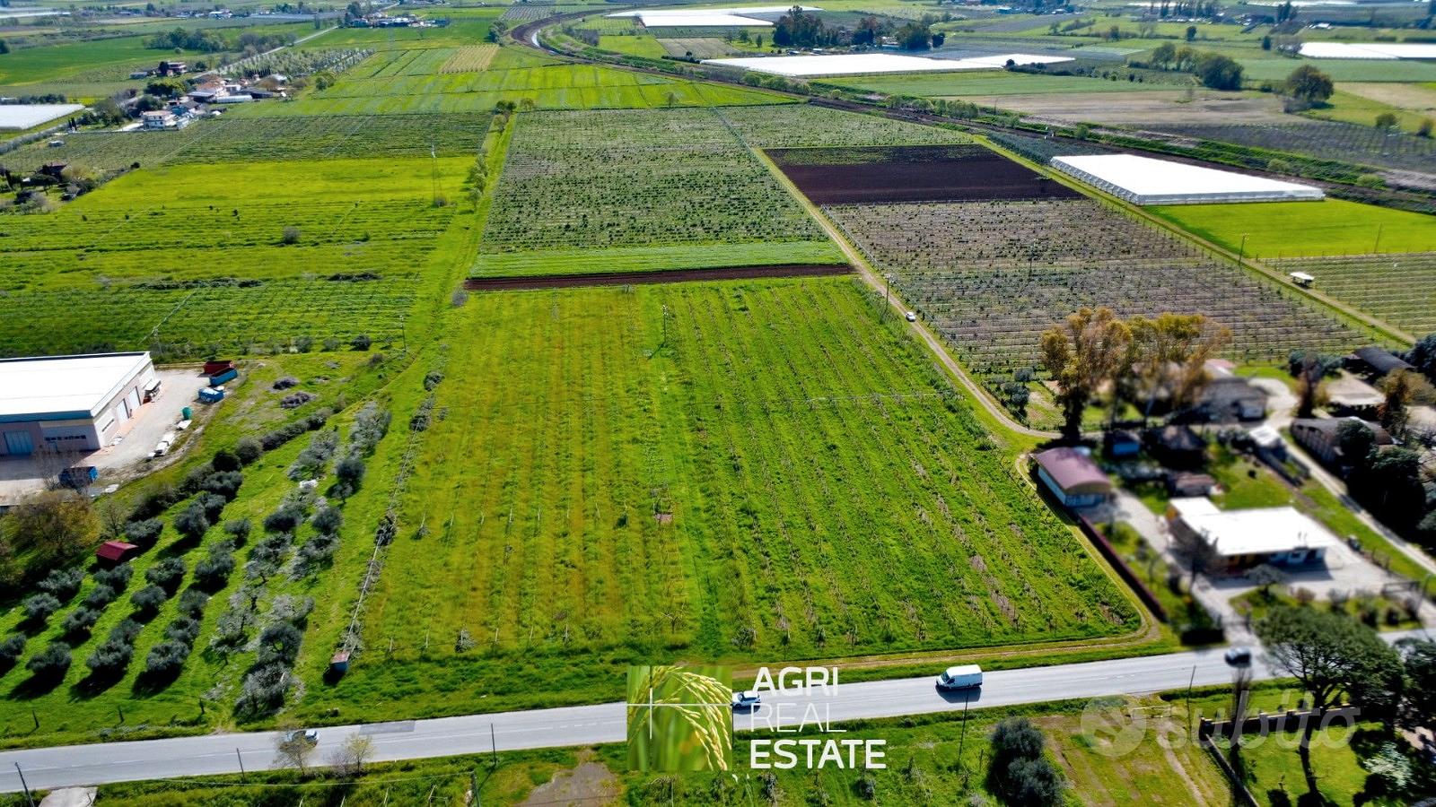 Terreno agricolo 10 HA con impianto kiwi e 2 pozzi - View 2
