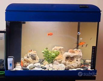 Acquario