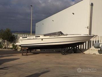 Bruno Abate Primatist 23