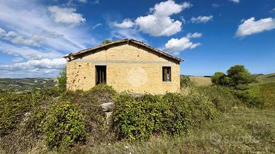 RUSTICO A OFFIDA