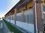 Immagine 12