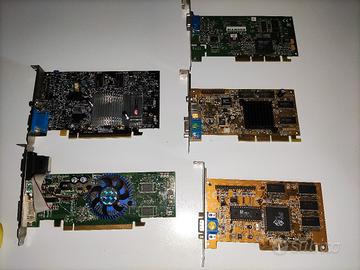 Schede video AGP PCI express 