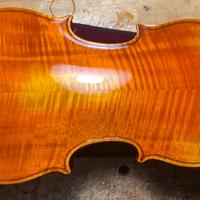 Violino
