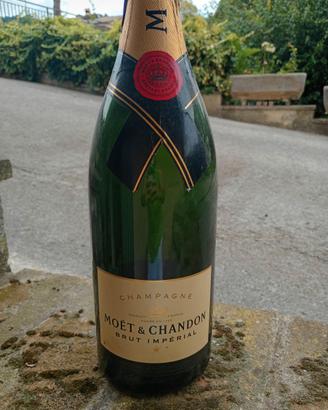Bottiglia  Moët & Chandon 3 litri + paralume