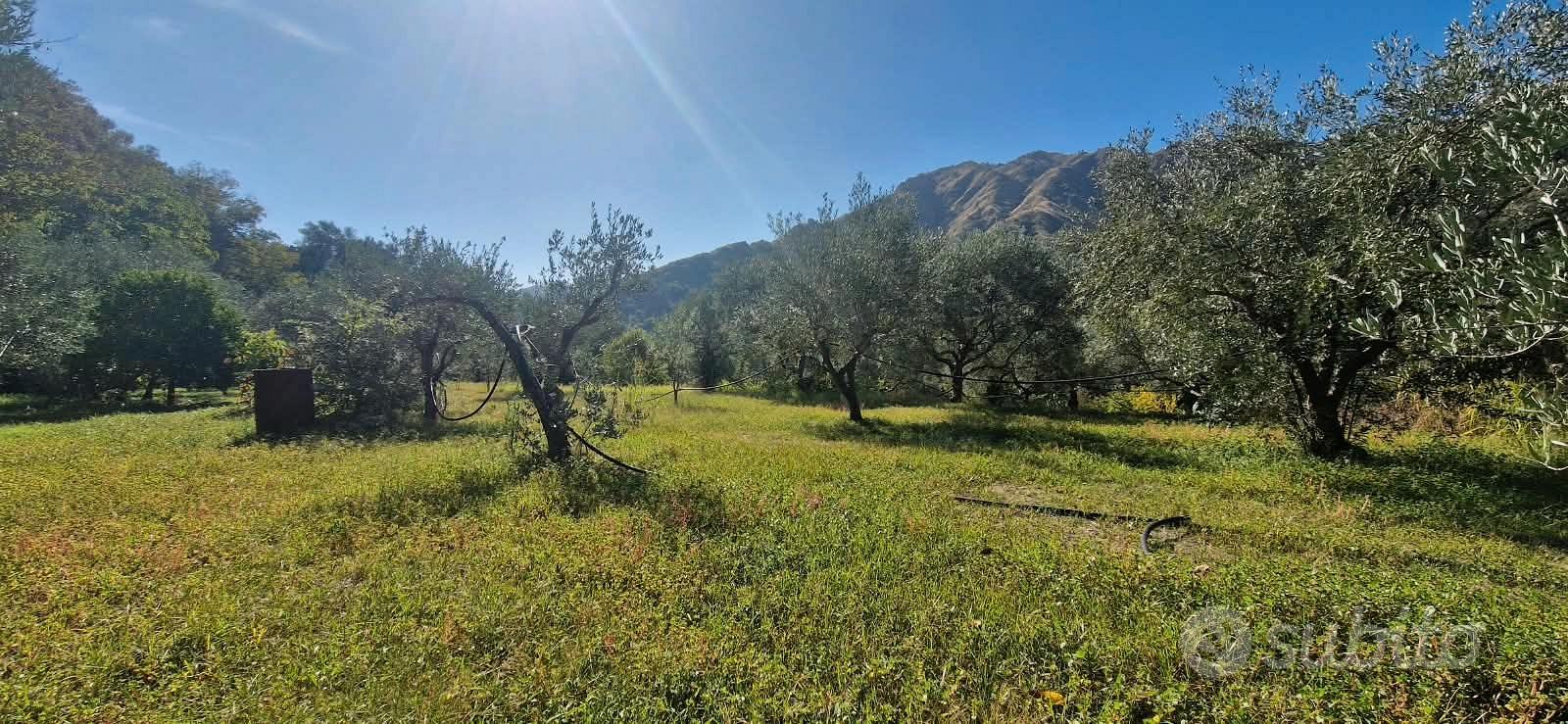 GOLE ALCANTARA terreno agricolo 1 ettaro - Vista 5