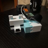 Supporto Apple Watch Minecraft