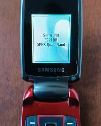 cellulare Samsung E2210B