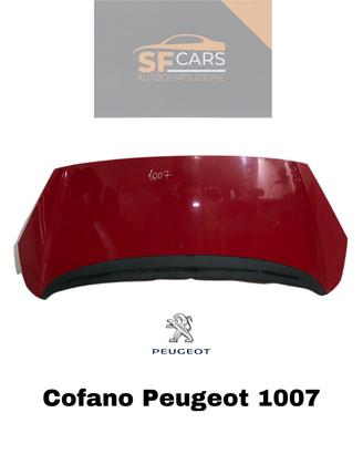 COFANO ANTERIORE PEUGEOT 1007 1° Serie (05>)