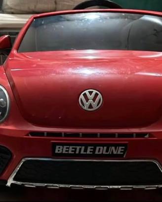 Auto maggiolone