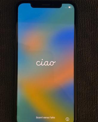 iPhone X 64 GB Nero  in condizioni immacolate