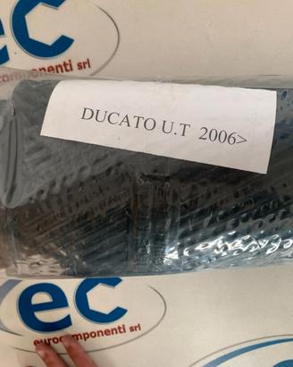 Tappetini in gomma Fiat Ducato