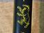 Immagine 3