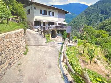 Altavalle maso da ristrutturare