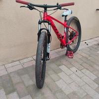 mtb brontes 29