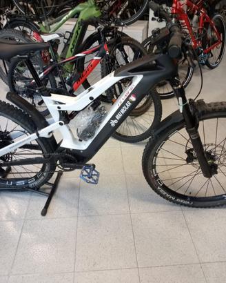Bici cicli carbon edge