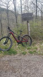 Ebike Trek rail 7