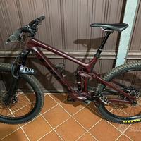 Trek remedy 9.7