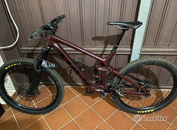 Trek remedy 9.7