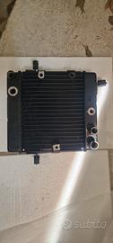 radiatore honda foresight 