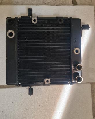 radiatore honda foresight 