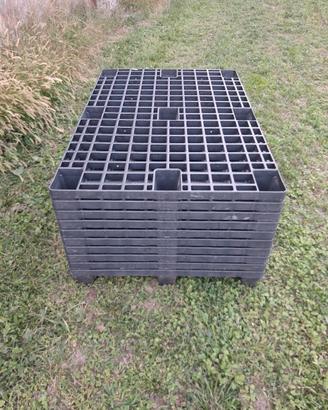 Bancali di plastica