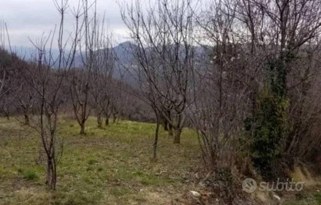 Immobile in asta di 990 m² a Chiampo - Vista 2