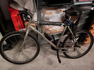 Bicicletta mountain bike