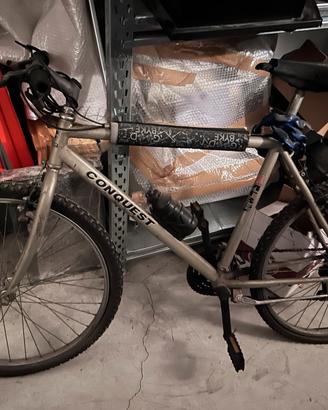 Bicicletta mountain bike