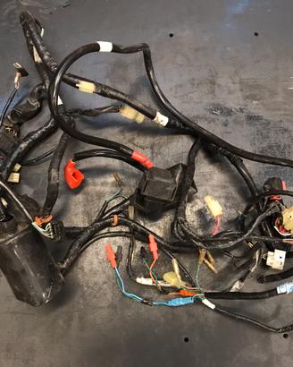 Centralina statore e impianto elettrico cbr125