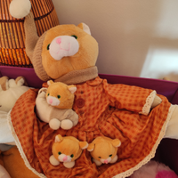 Paraspifferi peluche